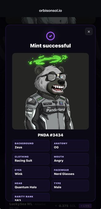 A successful NFT mint confirmation on orbisonsol.io showing PNDA #3434, a panda character in a racing suit with Nerd Glasses, Quantum Halo, and an angry mouth.