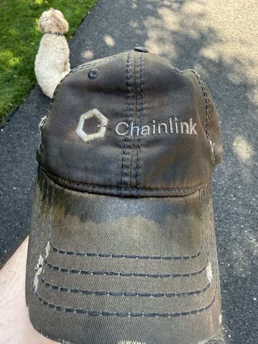 A worn, dark baseball cap with frayed edges displays the 'Chainlink' logo and hexagonal symbol, held in the foreground with a small fluffy dog sitting on grass in the background.