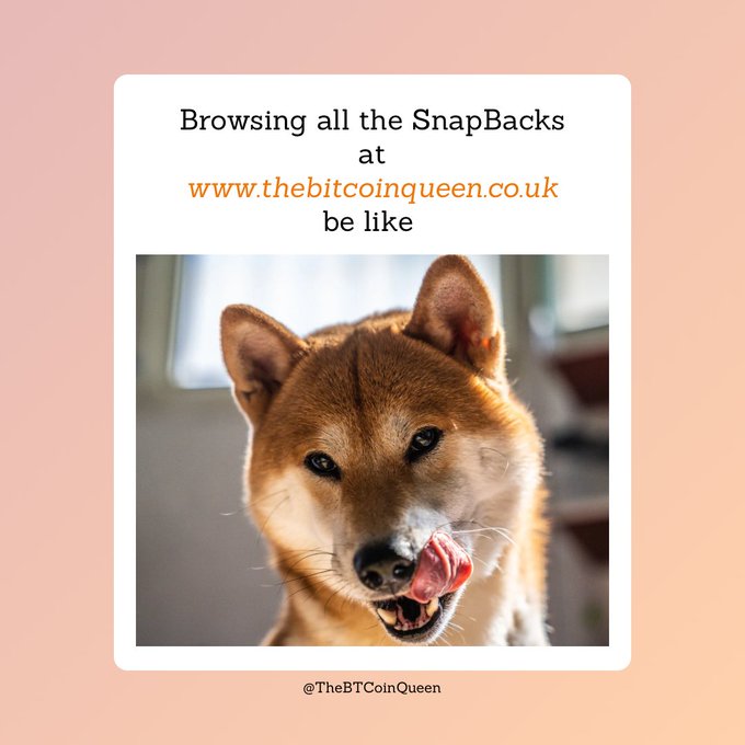 The image features a brown dog with its tongue out, looking at the camera while sticking out its tongue. The background of the photo has a pinkish hue, which complements the brown color of the dog's fur. In the bottom right corner of the image, there is text that reads "Looking at all the SnapBacks like they won't end up in my basket. Bitcoin only checkout. #bitcoinqueen #bitcoinuk #bitcoinnews #btc #bitcoin2026". The text seems to be a caption or description related to the image and its context.