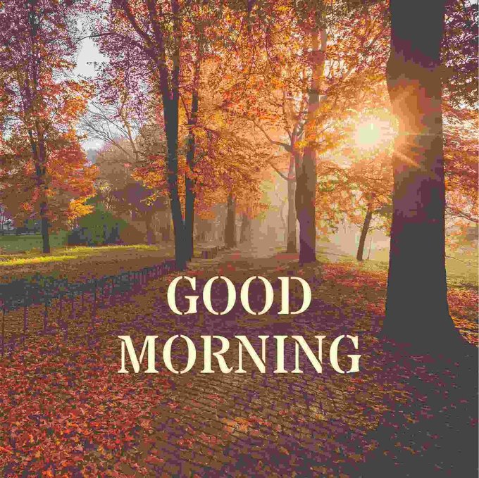 An autumnal park scene with a paved path covered in fallen leaves, golden sunlight filtering through trees, and the text 'GOOD MORNING' overlaid in cream letters.