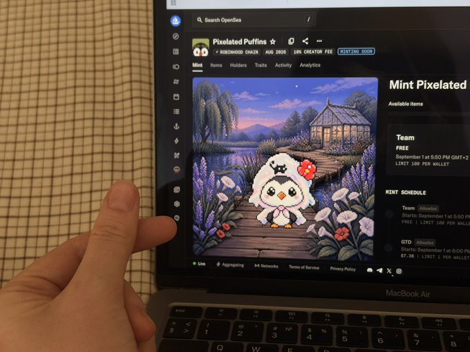 A hand giving a thumbs-up in front of a MacBook Air screen showing OpenSea's minting page for 'Pixelated Puffins' NFT collection, featuring a cute pixel-art chick in a garden.