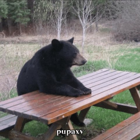 None