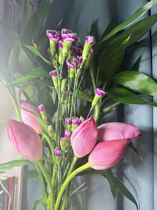 A bouquet of pink lotus buds and purple carnations in full bloom, arranged with lush green leaves, brings daily joy and serves as a reminder that emotional value can be self-cultivated through simple beauty.
