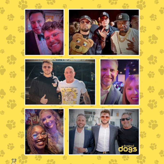 A collage of six photos showing people posing together at events, set against a yellow background patterned with paw prints and branded 'doginal dogs' in the bottom right corner.