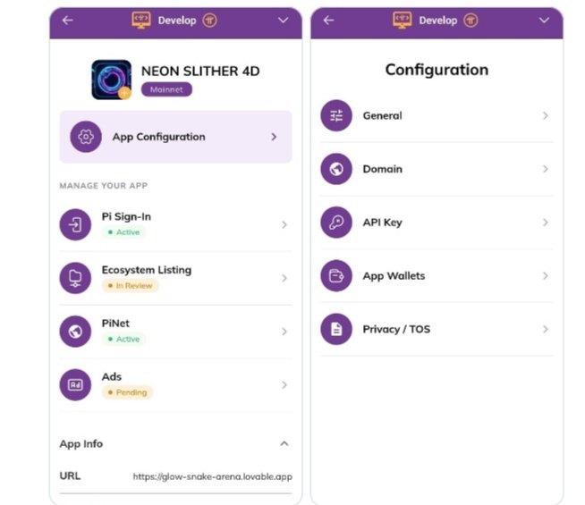A mobile app developer dashboard for 'NEON SLITHER 4D' showing app configuration options including PI Sign-in, Ecosystem Listing, PINet, and Ads status, alongside general settings like Domain, API Key, and App Wallets.