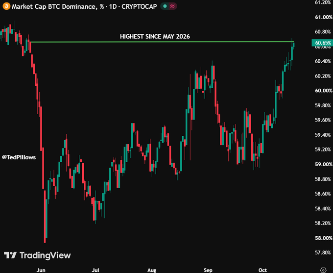 A TradingView candlestick chart of BTC Dominance (CRYPTOCAP) shows the metric reaching 60.65%, marked as the "HIGHEST SINCE MAY 2026" on a horizontal resistance line, with prices trending upward from a June low near 58.00% through October. This visually supports the post's claim that Bitcoin dominance has hit its highest level since May 2026, indicating liquidity favoring $BTC over altcoins.