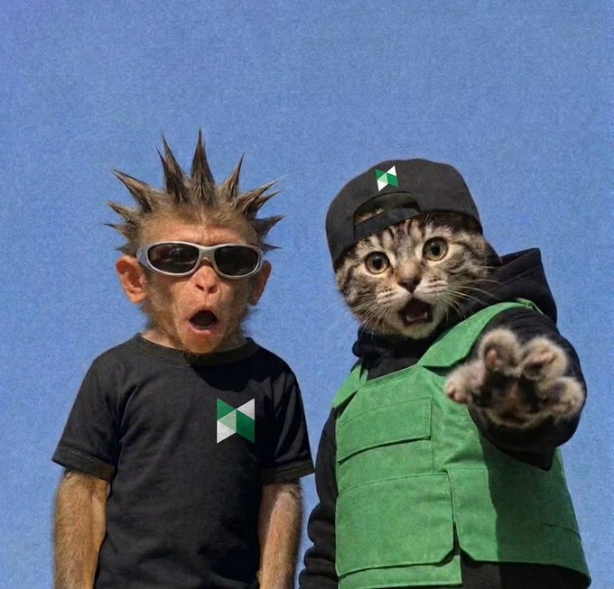 A humorous image of a monkey and a cat, both wearing sunglasses and black shirts with a green logo, looking shocked against a blue sky.