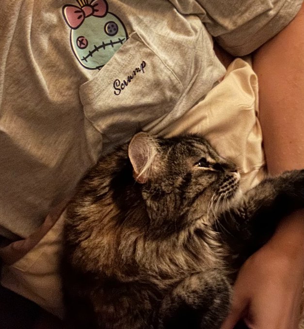 A close-up photo of a tabby cat lying on a person's lap next to a t-shirt with a stitched voodoo doll design and the word "Sewwp" embroidered on the pocket.