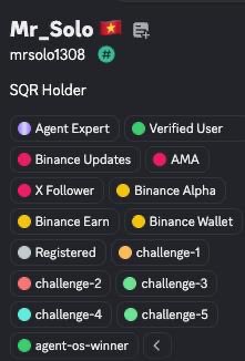 A Binance SQR profile page for user 'Mr_Solo' (mrsolo1308) displaying various achievement badges including Agent Expert, Verified User, Binance Updates, AMA, X Follower, and several challenges.