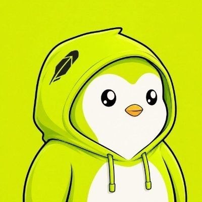 A cartoon penguin wearing a bright green hoodie with a feather emblem appears against a matching green background, embodying the chill, community-run spirit of "PENGUINHOOD"—the memecoin described in the post. The mascot's friendly, simple design visually reinforces the project's playful branding and Robin Hood-inspired ethos.