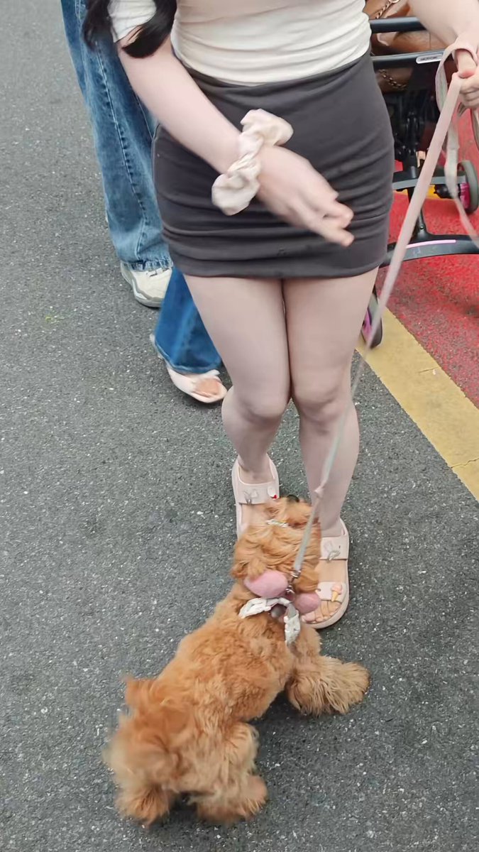 The image features a woman standing next to her dog, who appears to be wearing sandals. The woman has her arms crossed over her chest as she stands with her dog. In the background of the photo, there are other people present but they are not the main focus of the scene.