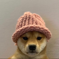 A Shiba Inu dog wearing a pink knitted bucket hat, looking directly at the camera with a neutral expression.