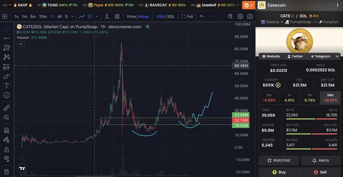 The image displays a Dexscreener chart of CATE/SOL on PumpSwap, showing a notable price spike to around 80 USD with subsequent consolidation around the 22-25 range and a cup-and-handle pattern forming, supporting the post's speculation about the meme coin CATE potentially being "juice" worth aping into alongside $ANSEM.