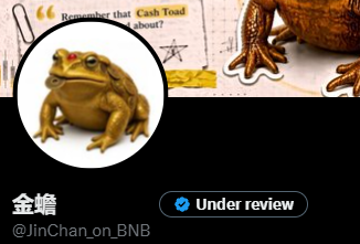 A social media profile image shows a golden toad (money frog) with Chinese characters "金蟾" and the username "@JinChan_on_BNB", marked with an "Under review" badge.