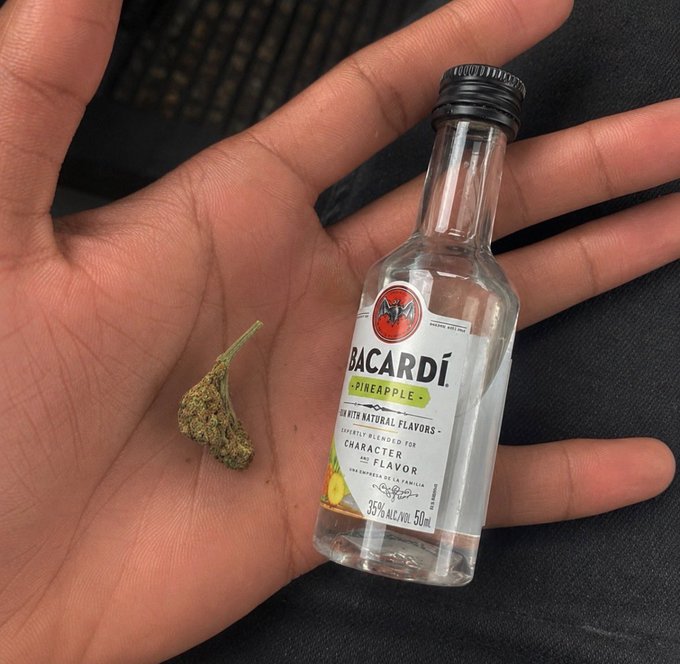 An open palm holding a small bud and a miniature Bacardi Pineapple rum bottle (50ml, 35% alcohol).