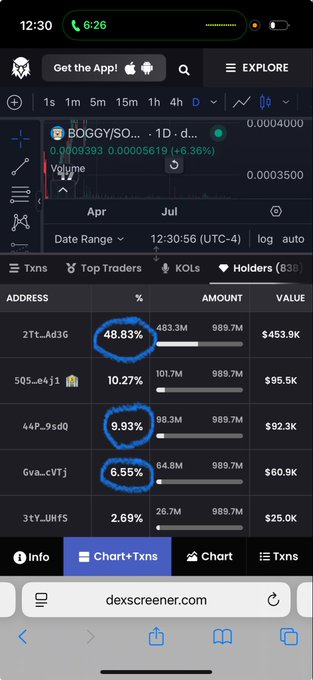 A screenshot of a dexscreener.com page displaying the "BOGGY/SOL" token's holder distribution on Raydium, with top holdings of 48.83%, 10.27%, 9.93%, and 6.55% circled in blue—appearing to support the creator's claim of significant ownership in Boggy Coin.