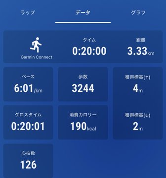 A Japanese-language Garmin Connect workout summary showing 20-minute run, 3.33km distance, 6:01 pace, 3,244 steps, 190 calories, and 126 heart rate.