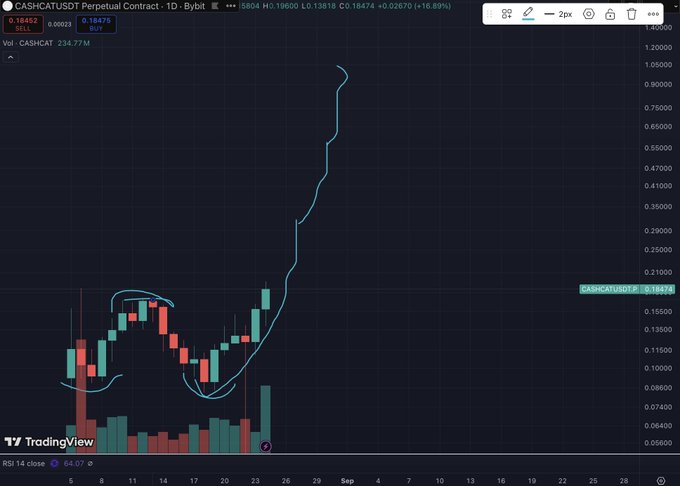 A TradingView candlestick chart for the CASHCATUSDT perpetual contract on Bybit shows a dramatic price spike with a hand-drawn blue line and parabolic curve annotations.