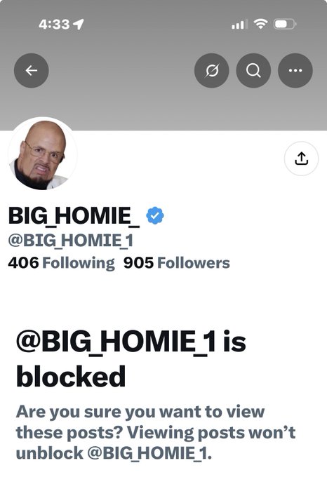 A mobile screenshot of a Twitter/X profile showing the user 'BIG_HOMIE_ (@BIG_HOMIE_1)' with 905 followers, indicating that the account is blocked from view.