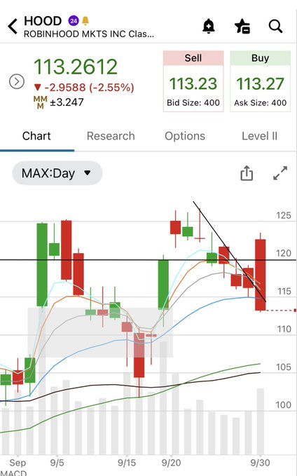 The image shows a Robinhood trading app screenshot of HOOD (Robinhood Mkts Inc Clas A) stock, currently priced at $113.2612, down 2.9588 (-2.55%) on the day. The daily candlestick chart displays a notable bearish engulfing candle near the September 30 timeframe that appears to be breaking below a descending trendline, reinforcing the post's concern about the negative price action in HOOD.