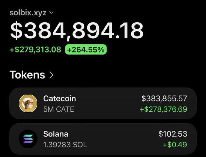 A screenshot of the "solbix.xyz" wallet shows a total balance of $384,894.18, up +$279,313.08 (+264.55%), with the majority of holdings in 5M CATE (Catecoin) worth $383,855.57 (+$278,376.69) and a small 1.39283 SOL balance. The image illustrates the post's claim that a follower turned a $1,950 buy into over $384,000, achieving roughly a 197x gain.