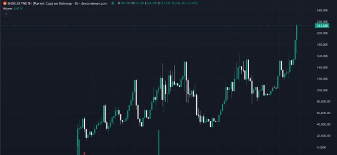 A candlestick chart from dexscreener.com showing SHIBCAT/WETH (Market Cap) on Uniswap, with the token price reaching a market cap of approximately $215.58K (+15.47%), highlighting a strong upward trend in the SHIBCAT memecoin.