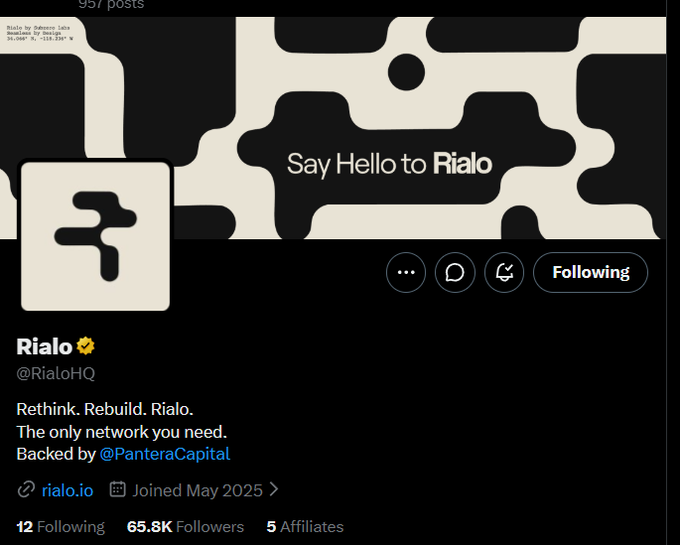 Twitter/X profile page for 'Rialo' (@RialoHQ) with the tagline 'Say Hello to Rialo', 'Rethink. Rebuild. Rialo.', and 'The only network you need. Backed by @PanteraCapital', having 65.8K followers.