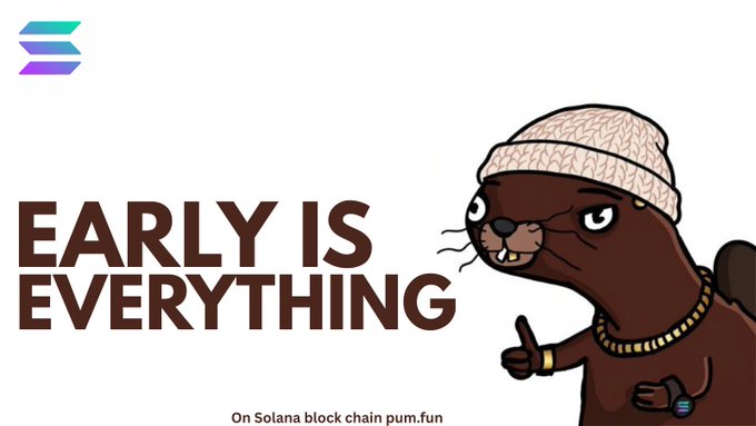 Promotional graphic featuring a cartoon beaver wearing a beanie and gold chain giving a thumbs up, with text reading 'EARLY IS EVERYTHING' and 'On Solana block chain pum.fun', alongside a Solana logo.