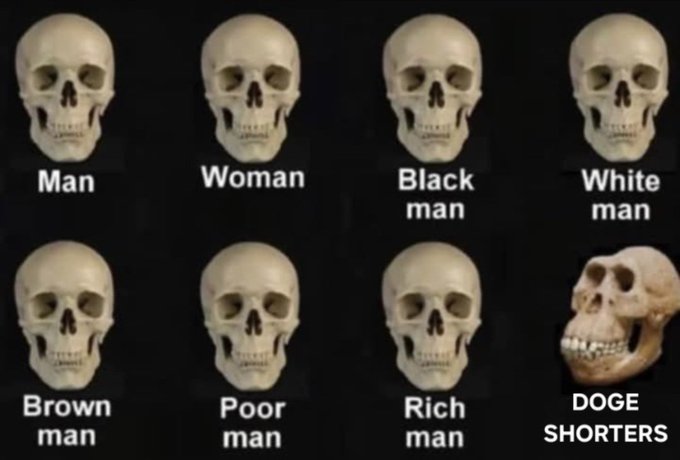 A meme showing seven identical skulls labeled "Man", "Woman", "Black man", "White man", "Brown man", "Poor man", and "Rich man", followed by a chimpanzee skull labeled "DOGE SHORTERS".