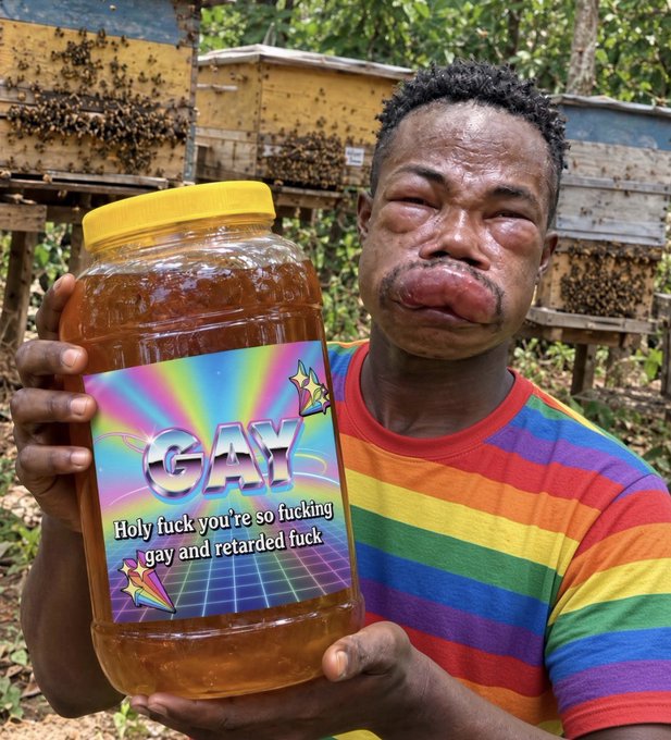 Image of a man with facial deformities wearing a rainbow shirt, holding a large jar labeled 'GAY' with the text 'Holy fuck you're so fucking gay and retarded fuck', with beehives in the background.