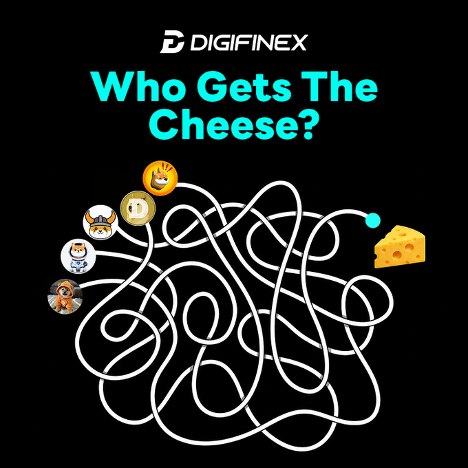 A DigiFinex promotional graphic titled 'Who Gets The Cheese?' showing a tangled maze path connecting several cartoon dog/character avatars to a piece of cheese.