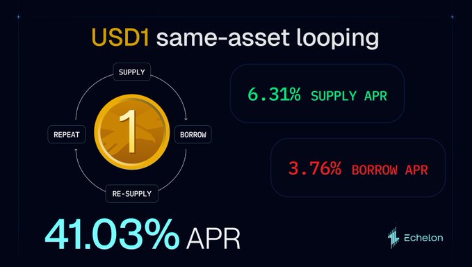 A financial infographic titled "USD1 same-asset looping" by Echelon, showing a cycle of "Supply, Borrow, Repeat, Re-Supply" with a supply rate of 6.31%, borrow rate of 3.76%, and a total APR of 41.03%.