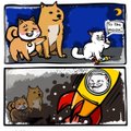 A small illustration showing Shiba Inu dogs in two scenes: the top depicts an adult with puppies, and the bottom shows a dog with a rocket, accompanied by a Bitcoin logo and text about cryptocurrency.