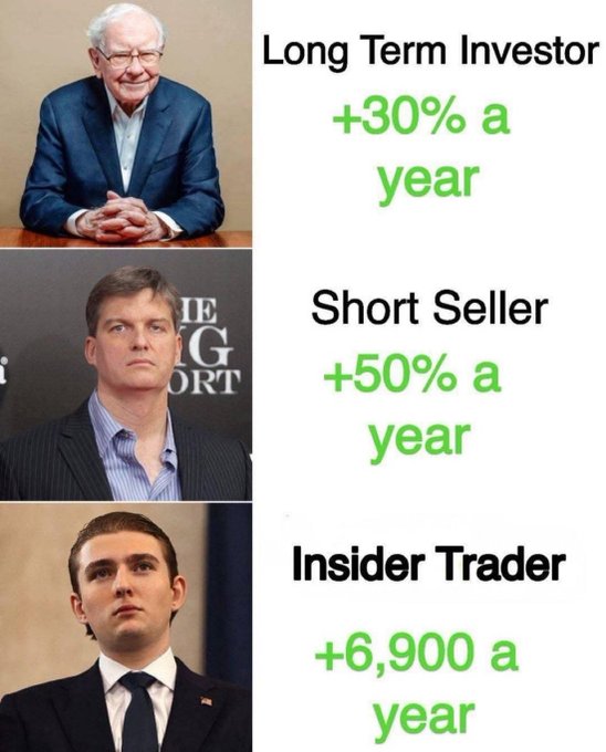 A meme featuring Warren Buffett, Michael Burry, and Hunter Biden with humorous investment return comparisons: 'Long Term Investor +30% a year,' 'Short Seller +50% a year,' and 'Insider Trader +6,900 a year.'