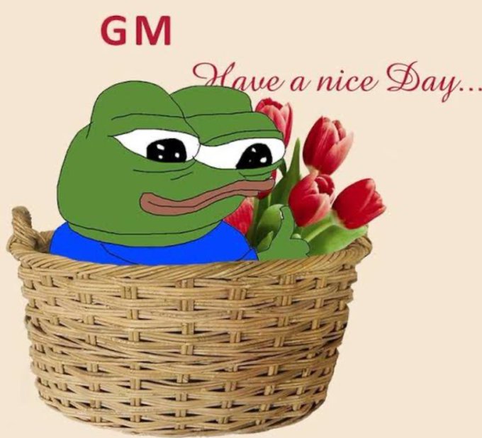 A meme featuring a sad Pepe the Frog sitting in a wicker basket with red tulips, accompanied by the text 'GM Have a nice Day...'