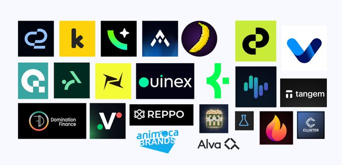 The image displays a collage of crypto/Web3 company logos including KuCoin (k), uinex, tangem, Dominance Finance, REPPO, animoca BRANDS, Alva, and CLUSTER, among others.

The collage appears to showcase the diverse range of crypto projects and platforms the founder spoke with, with each logo representing a different company from the Web3/blockchain ecosystem—spanning exchanges, DeFi protocols, NFT brands, and crypto wallet services that align with the discussion of trader metrics, trading competitions, and regional growth strategies.