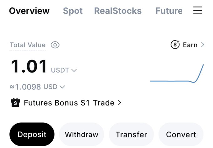 The image shows a cryptocurrency exchange (MEXC) "Overview" dashboard displaying a Total Value of 1.01 USDT (≈1.0098 USD), with navigation tabs for Spot, RealStocks, and Future, illustrating the platform's unified interface that consolidates crypto trading with traditional stock markets in a single view.