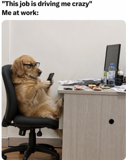 A humorous meme showing a golden retriever wearing glasses sitting at a desk looking at a phone, captioned "This job is driving me crazy" / "Me at work:"