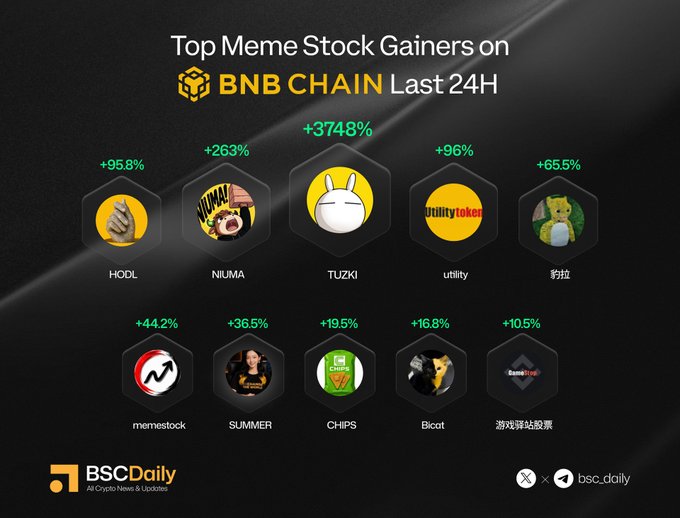 An infographic from BSCDaily displays the top 10 meme stock gainers on BNB Chain in the last 24 hours, led by TUZKI with a +3748% gain, followed by NIUMA (+263%), utility (+96%), HODL (+95.8%), 豹拉 (+65.5%), memestock (+44.2%), SUMMER (+36.5%), CHIPS (+19.5%), Bicot (+16.8%), and 游戏驿站股票 (+10.5%).