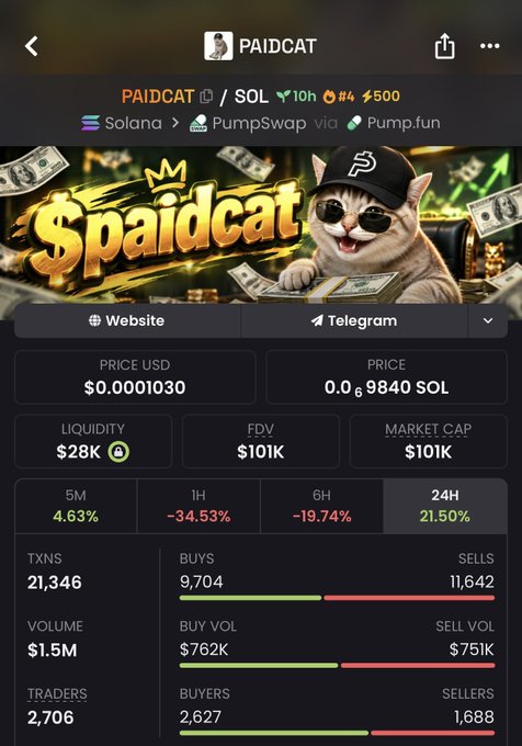 A cryptocurrency tracker page for the token 'PAIDCAT' on the Solana network via Pump.fun, showing a price of $0.0001030 and a market cap of $101K.