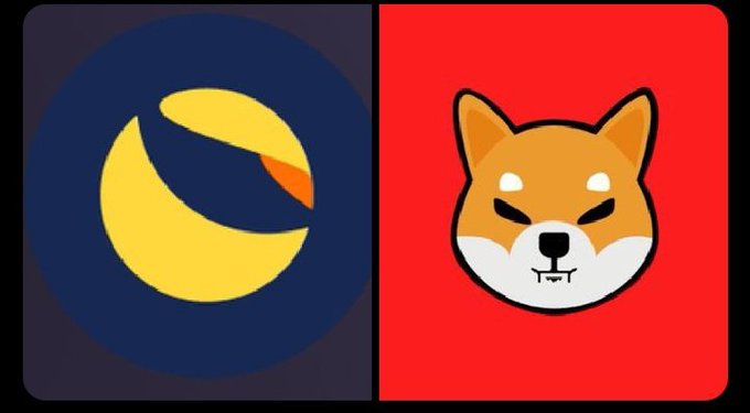 Two cryptocurrency logo icons side by side: a yellow crescent-style bird logo on a dark blue background (Terra/LUNA) and a Shiba Inu dog face on a red background (Shiba Inu/SHIB).
