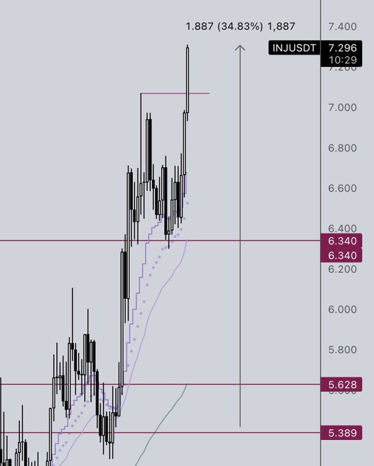 The image presents a chart or graph filled with lines representing the price movements of different asset classes over time. The majority of these lines are black while one is purple. The top portion of this image shows prices for $INJ TP€‘d, and $8/9 in pink. This post mainly focuses on what's visible in the image without any elaboration or additional information provided about the chart or its relation to a specific topic.