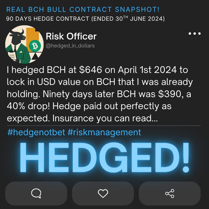 The image shows a social media post that mentions an "Ultimate financial security!hedged Bitcoin Cash at $646 against the dollar, immediate returns!", with some text about hedging Bitcoins as well. It also features a post by Risk Officer stating his success in hedging Bitcoin Cash, which reached a certain value of $646 on April 1st, 2024 when it was already worth $390. The post highlights how hedging can ensure financial security for Bitcoin Cash users.