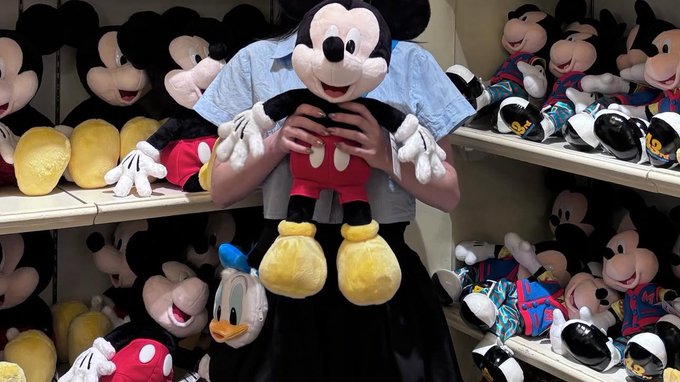 The image features a person holding up a stuffed Mickey Mouse toy against a backdrop of other stuffed animals. The person appears to be wearing a black skirt, which contrasts with the colorful surroundings. The text accompanying the image reads "gm good morning a new day means a new opportunity to make progress. stay consistent with the work, even when the results take time to appear." This message is related to the theme of the stuffed animals and emphasizes the importance of consistency in achieving success or reaching goals.