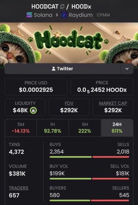 A cryptocurrency dashboard displays statistics for the HOODCAT / HOODx token on Solana via Raydium (CPMM), showing a price of $0.0002925, $48K liquidity, $292K market cap, and a 611% gain over 24 hours.