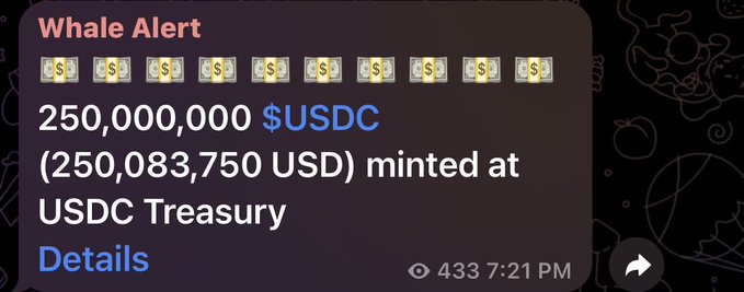In the image, there are two pieces of text - one that reads " Whale alert", possibly indicating a notification or information related to whale-related activity; and another piece of text which reads $250m USDC (two dollar million USDC) that is due at 3:31 p.m.