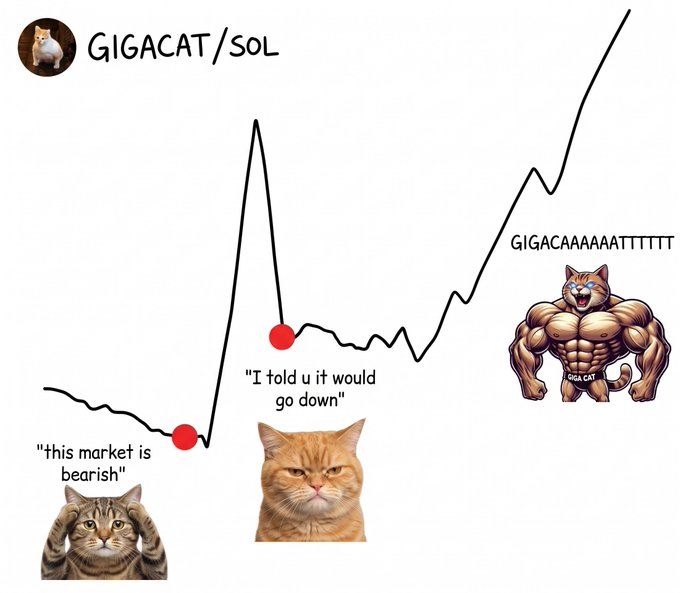 A meme chart titled 'GIGACAT/SOL' featuring cats in various poses corresponding to price movements, with captions 'this market is bearish,' 'I told u it would go down,' and 'GIGACAAAAATTTTT' alongside a muscular cat illustration.