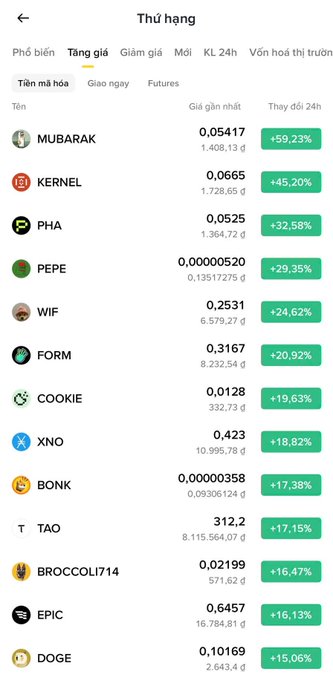 A Vietnamese-language crypto ranking list titled 'Tăng giá' (Gainers) showing top trending tokens with their latest prices and 24-hour changes, including MUBARAK (+59.23%), KERNEL (+45.20%), PHA (+32.58%), PEPE (+29.35%), and WIF (+24.62%).