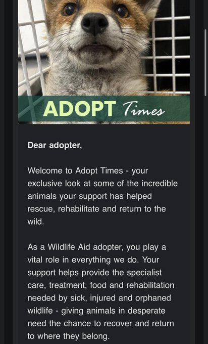 An email from "ADOPT Times" features a close-up photo of a fox and addresses the reader as "Dear adopter," thanking them for supporting Wildlife Aid in rescuing, rehabilitating, and returning animals to the wild.