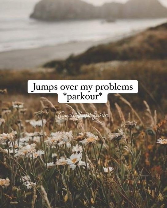 A coastal scene with daisies in the foreground and the ocean in the background, overlaid with text reading 'Jumps over my problems *parkour*' and a watermark crediting '@wildflourfarm'.